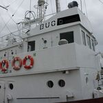 IMG_1482
