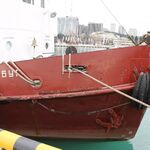 IMG_1484
