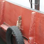 IMG_1515