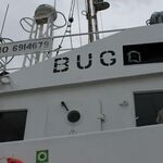 IMG_1527