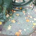 DSCF0696.JPG