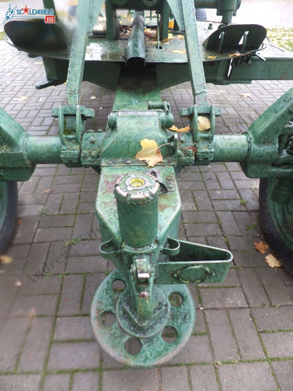 DSCF0717.JPG