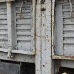 IMG_6351