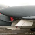 sea_vixen_0009.jpg