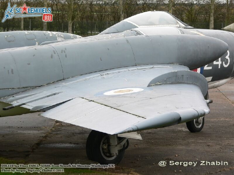 sea_vixen_0011.jpg