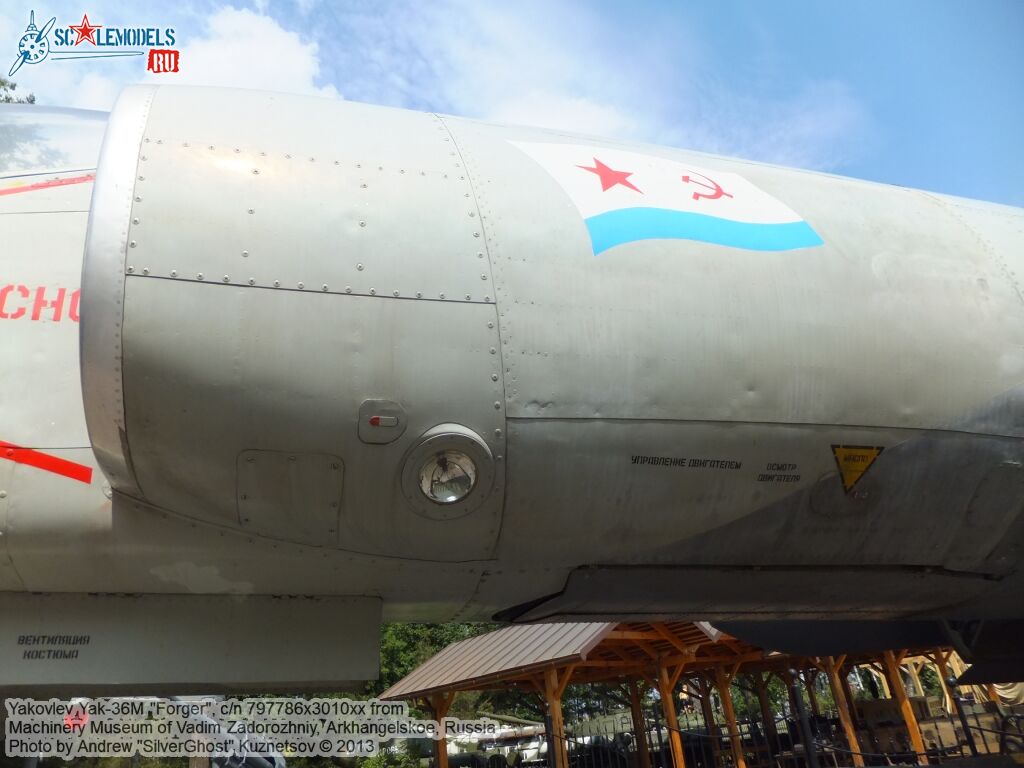 Yak-36M_Forger_0050.jpg