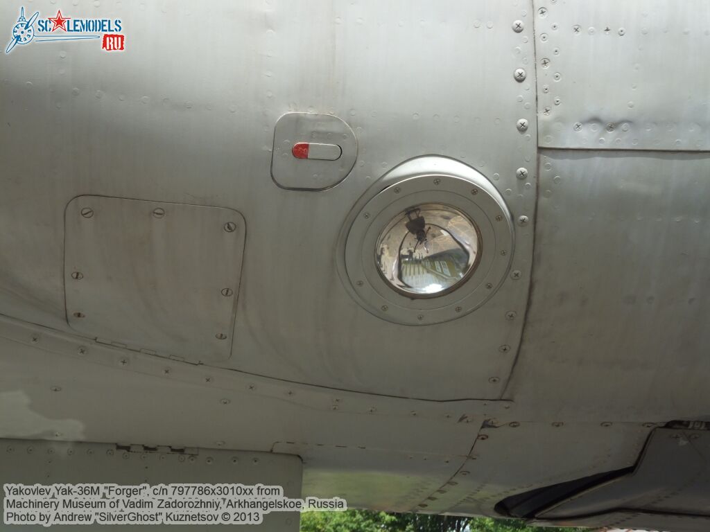 Yak-36M_Forger_0052.jpg
