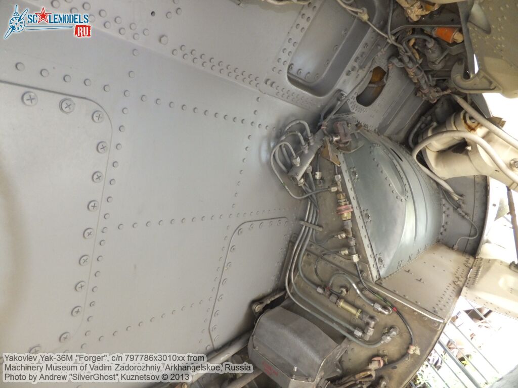 Yak-36M_Forger_0101.jpg