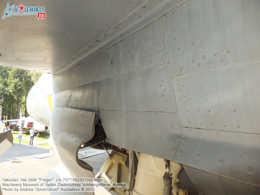 Yak-36M_Forger_0138.jpg