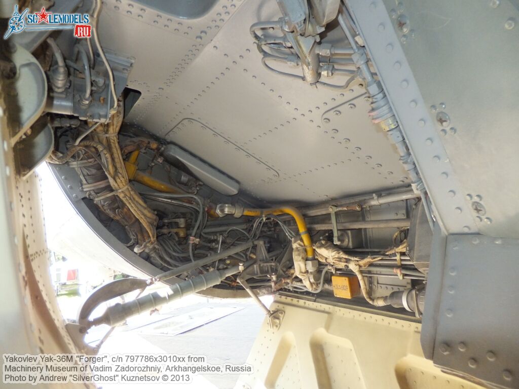 Yak-36M_Forger_0143.jpg
