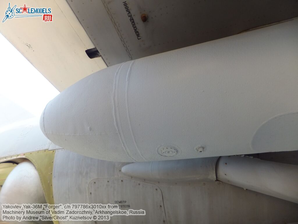 Yak-36M_Forger_0232.jpg