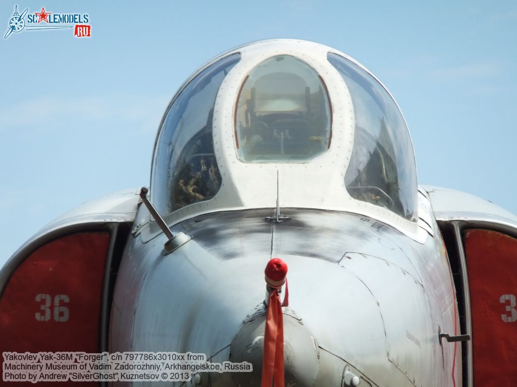 Yak-36M_Forger_0283.jpg