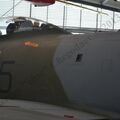 DSC_0364.JPG