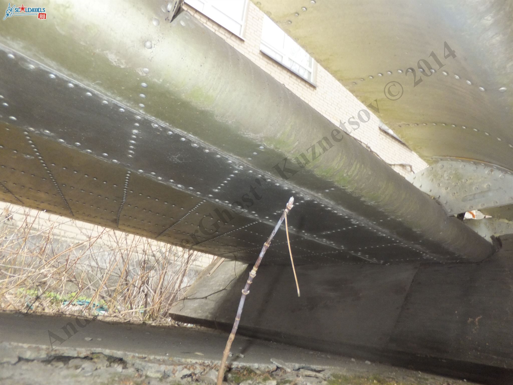 DSCF2298.JPG
