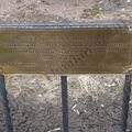 DSC06634.JPG