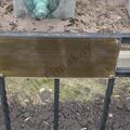 DSC06648.JPG