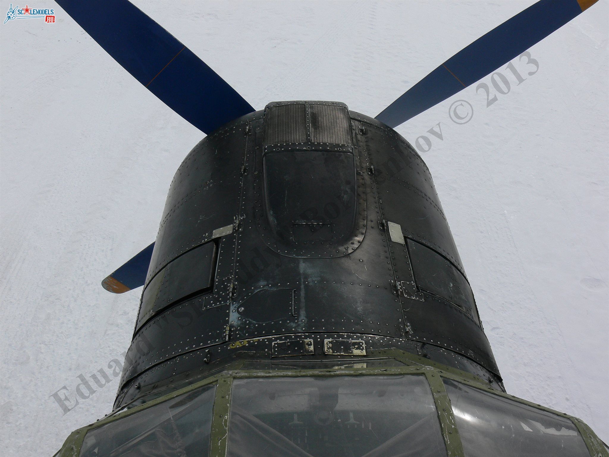 P1140187.JPG