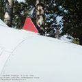 Yak-141_Freestyle_0060.jpg