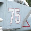 Yak-141_Freestyle_0247.jpg