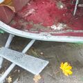 DSCF1445.JPG