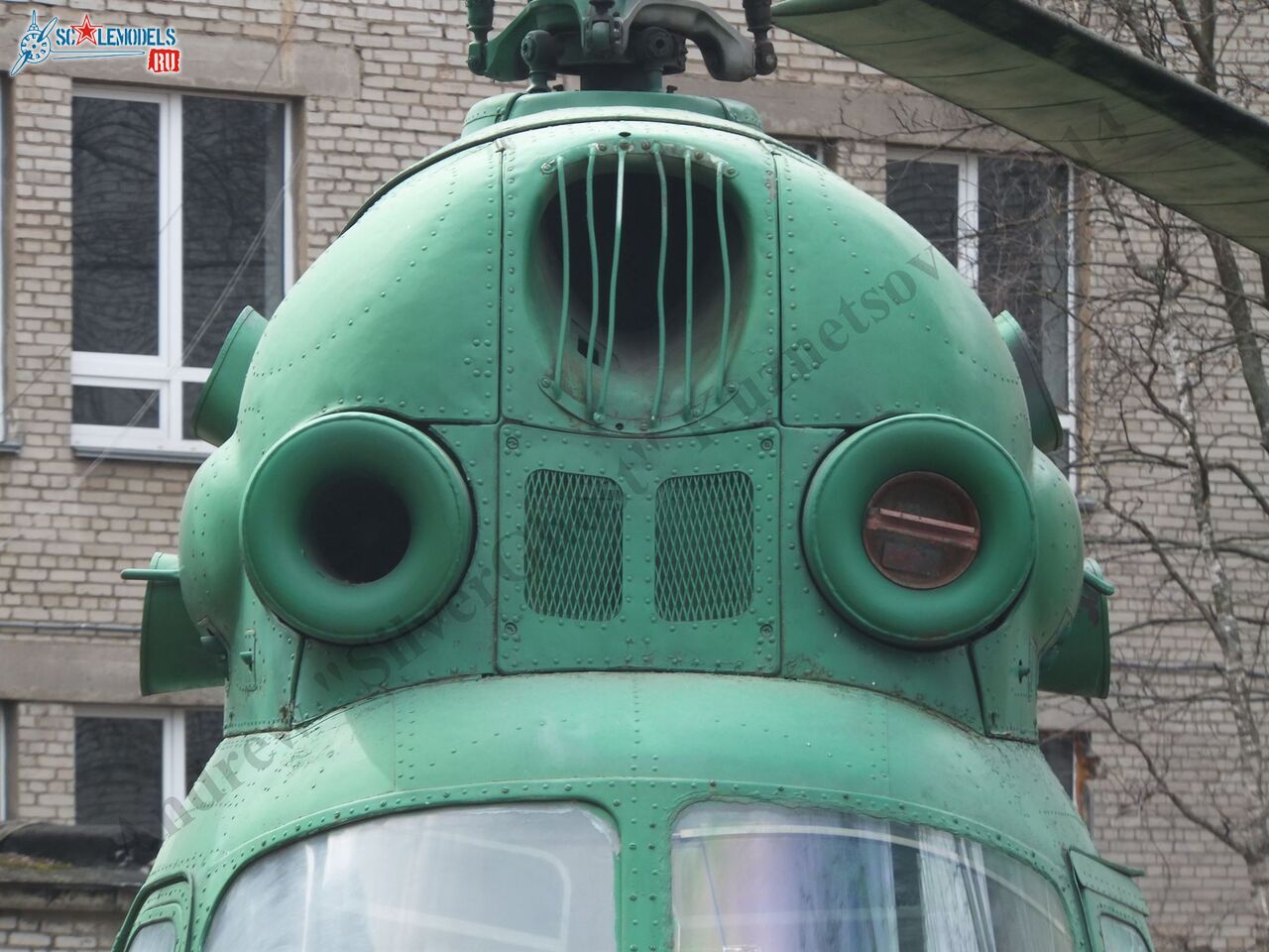 DSCF1489.JPG