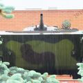 DSCF5851.JPG