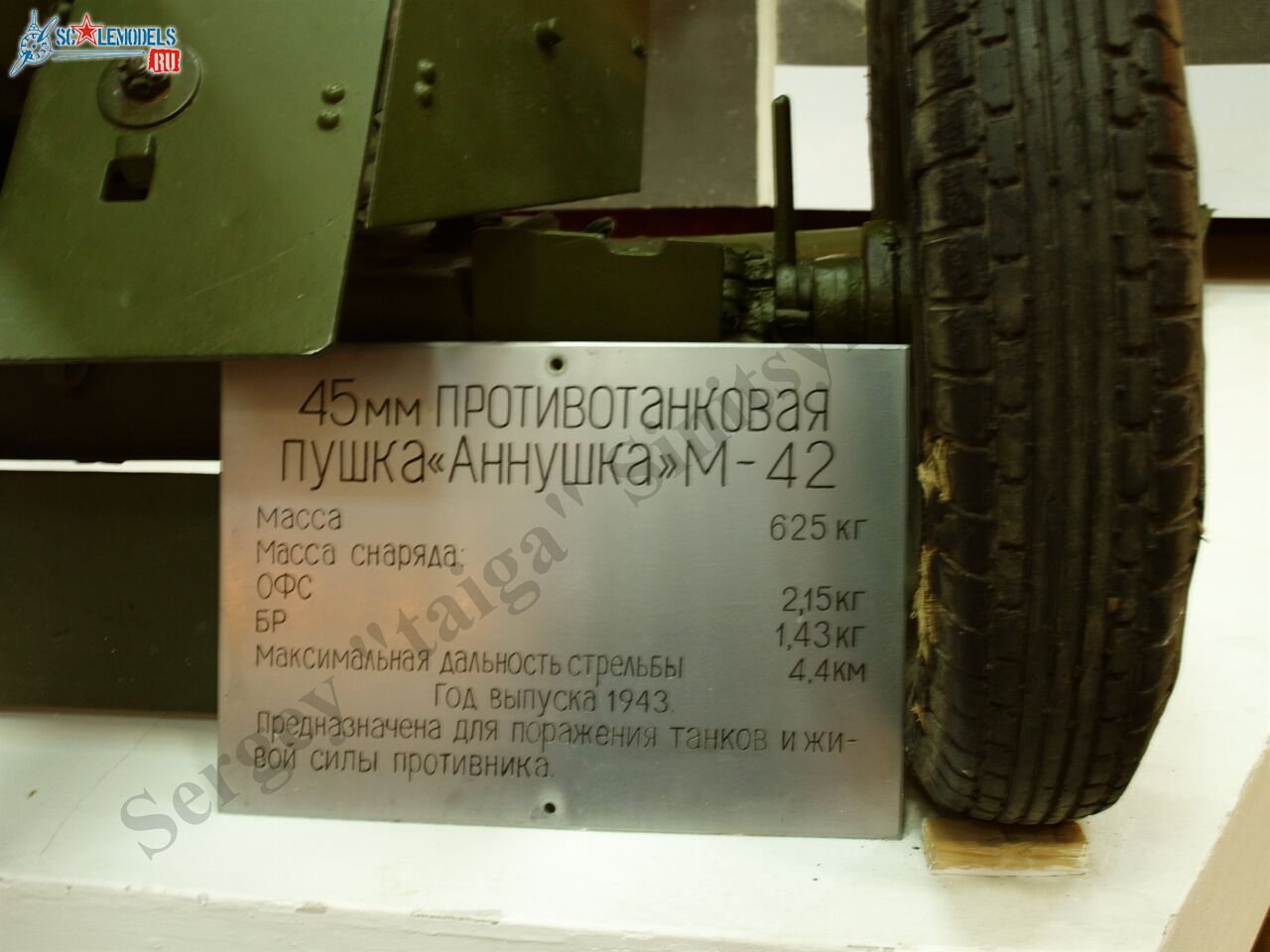 PB100586.JPG