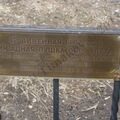 DSC06623.JPG