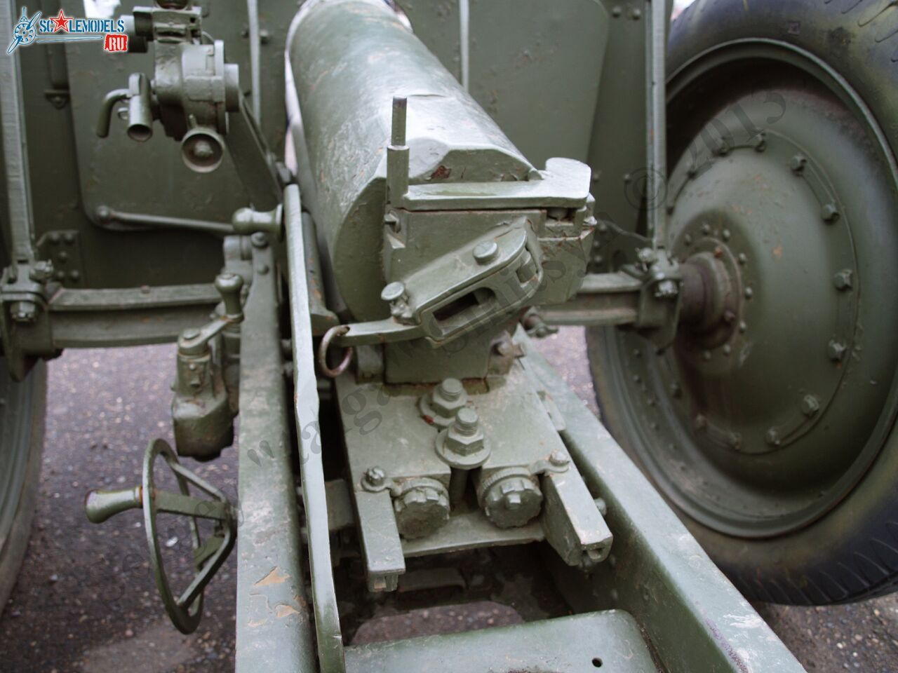 PB100011.JPG