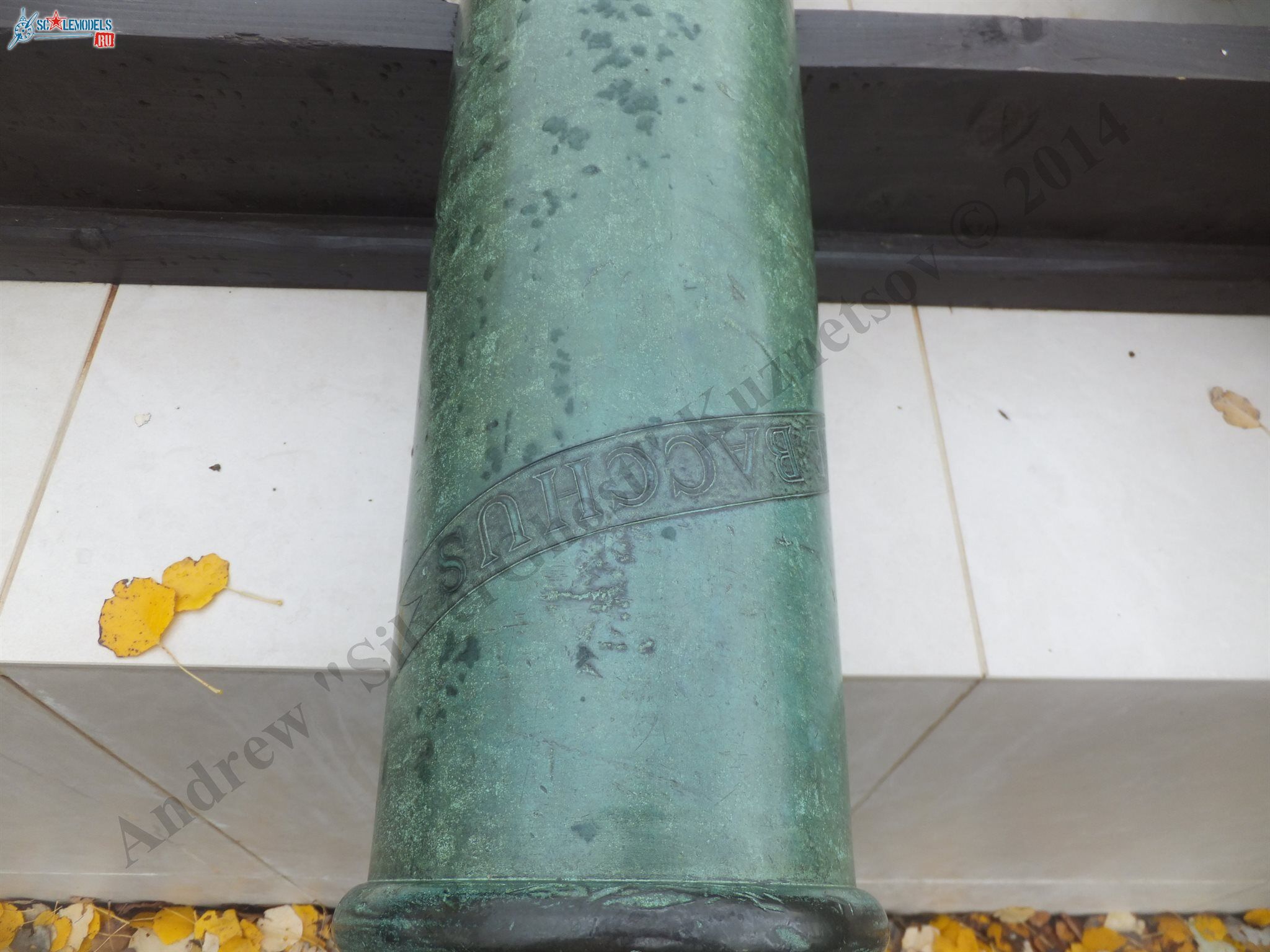 DSCF0380.JPG