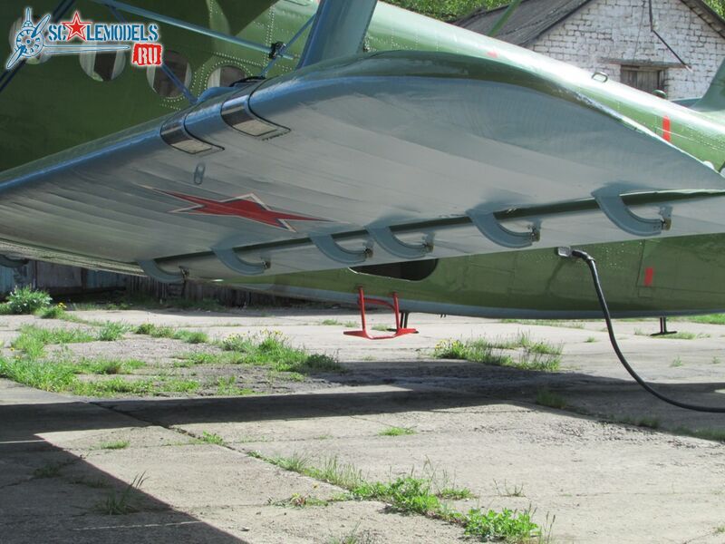 IMG_2154б