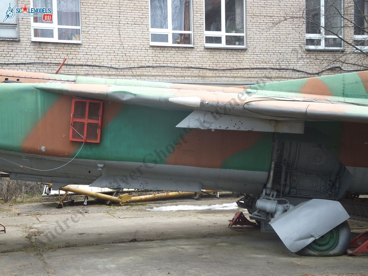 DSCF1520.JPG