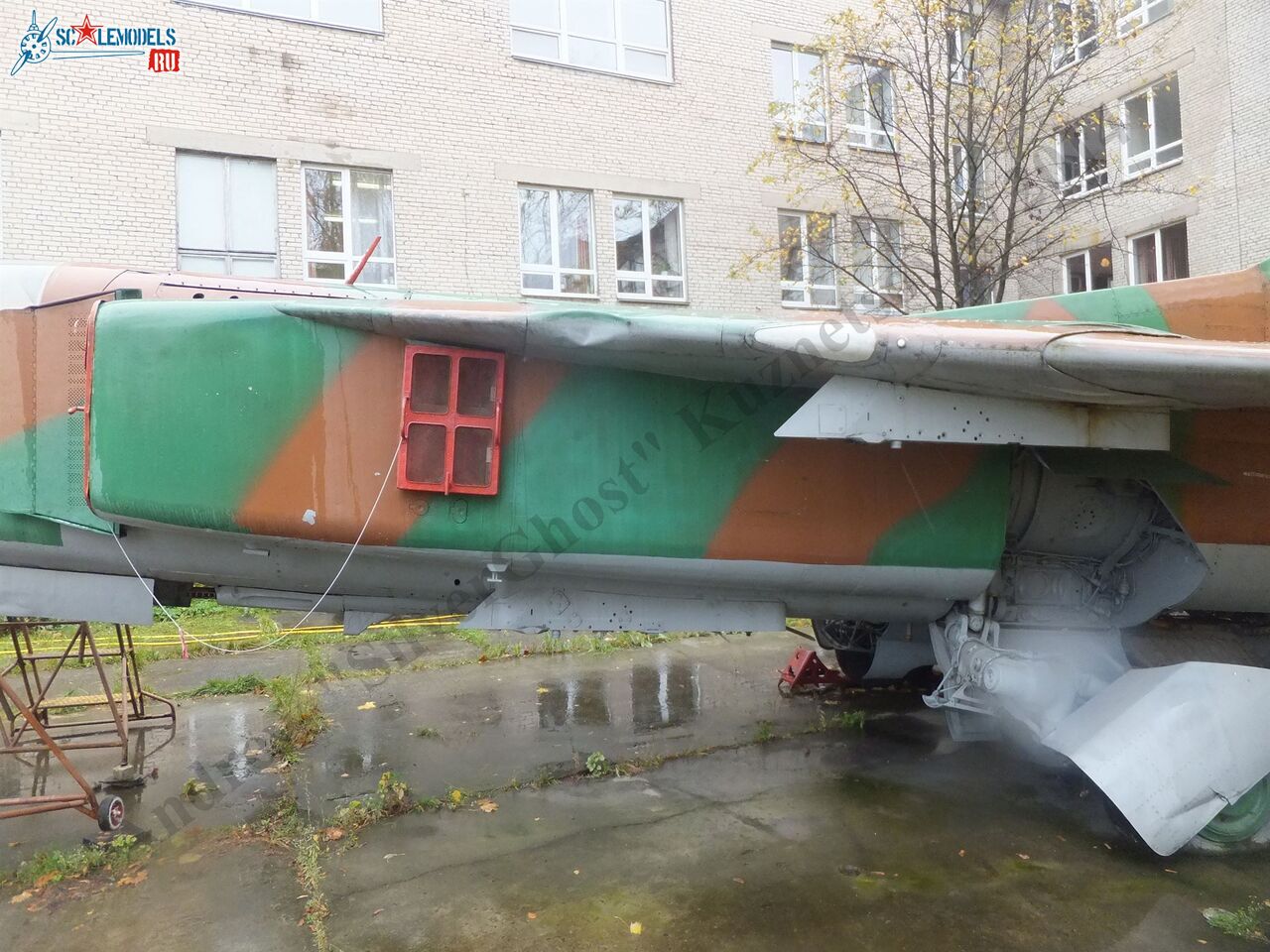 DSCF1732.JPG