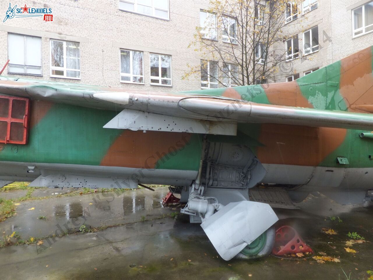 DSCF1733.JPG