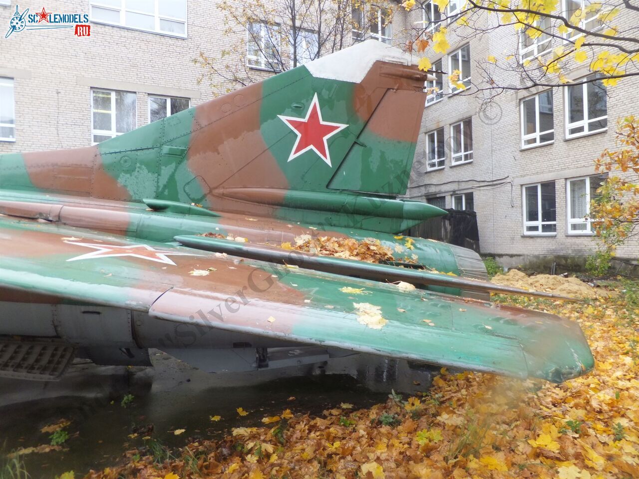 DSCF1736.JPG