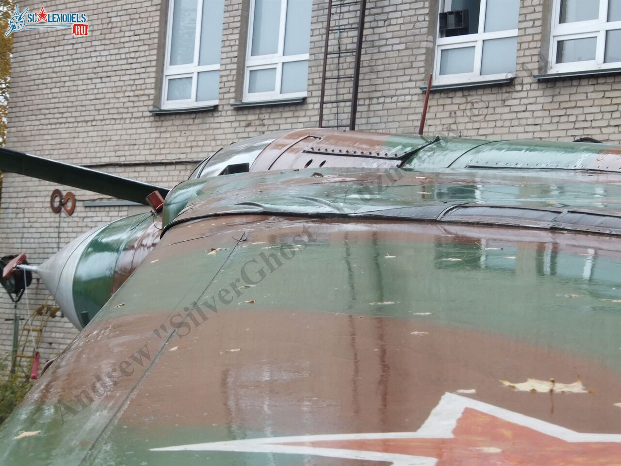 DSCF1739.JPG