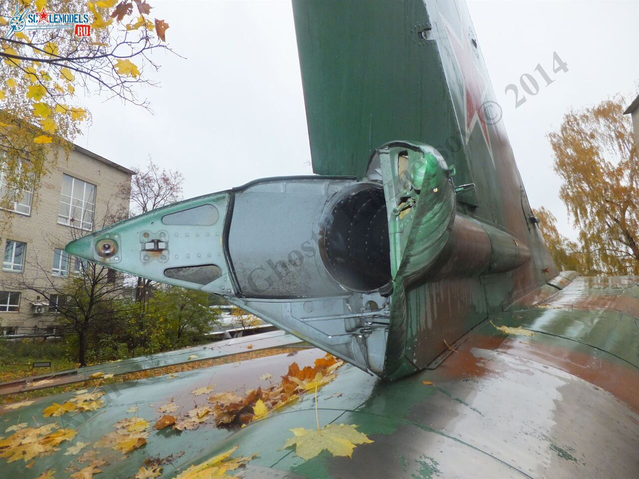 DSCF1755.JPG