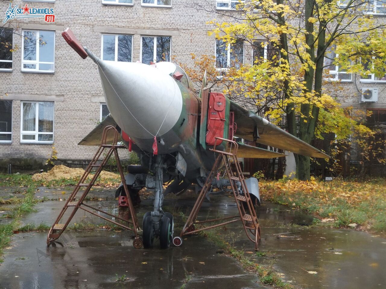 DSCF1770.JPG