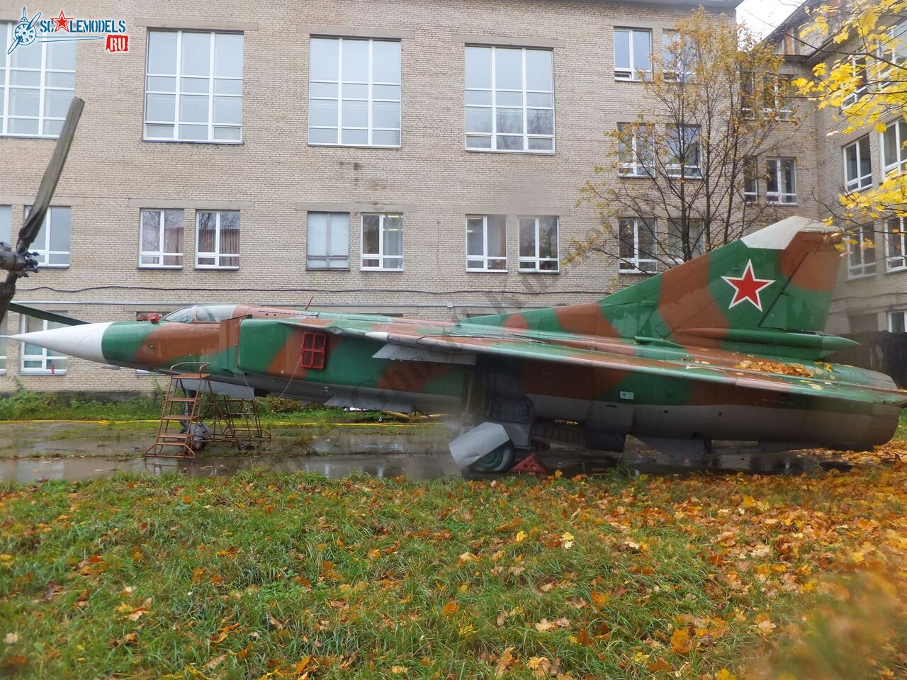 DSCF1783.JPG