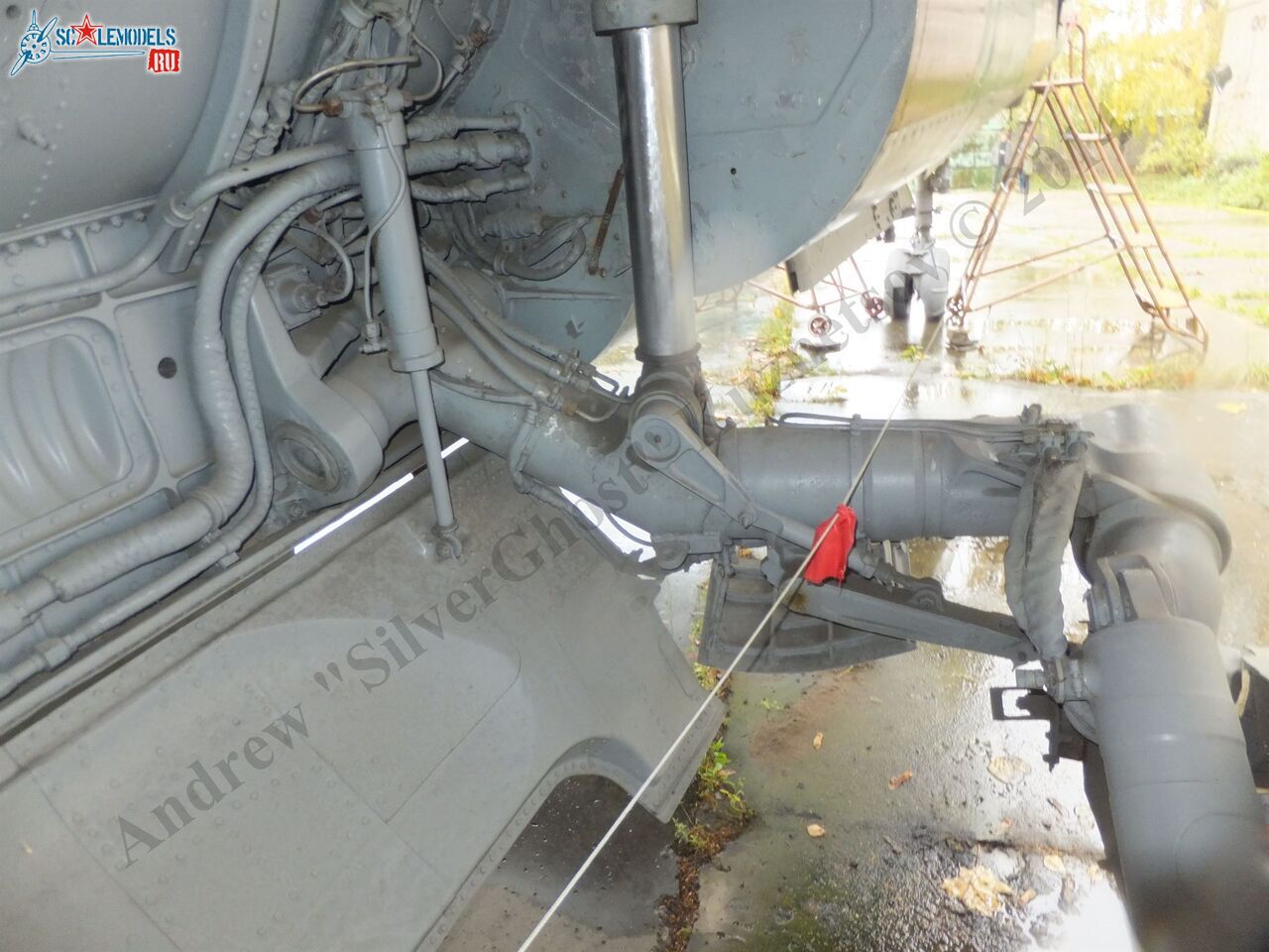 DSCF1793.JPG