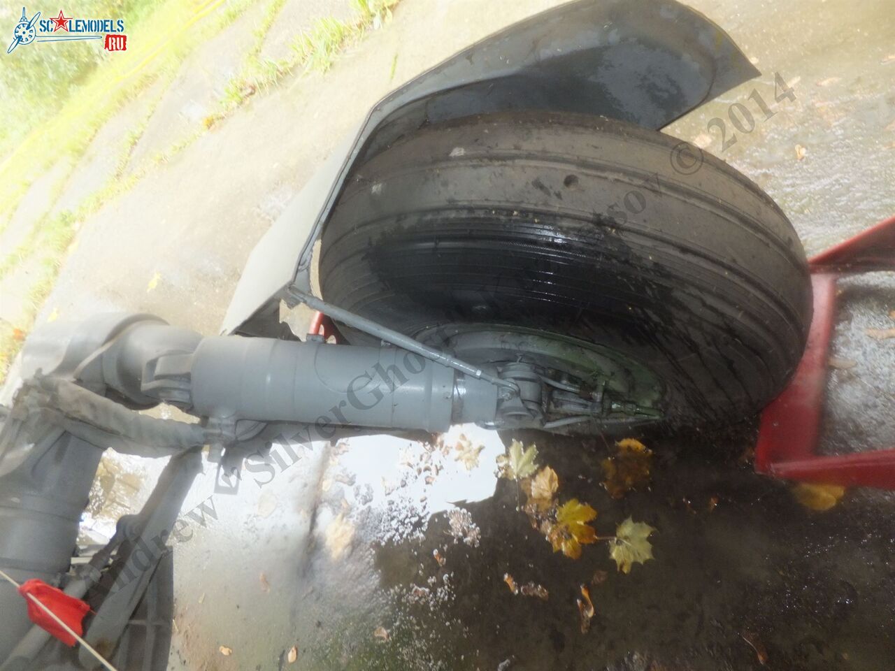 DSCF1797.JPG