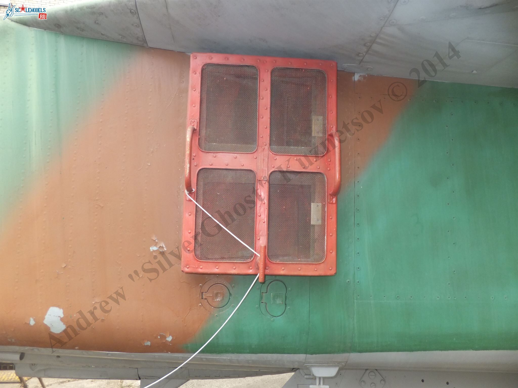 DSCF1576.JPG