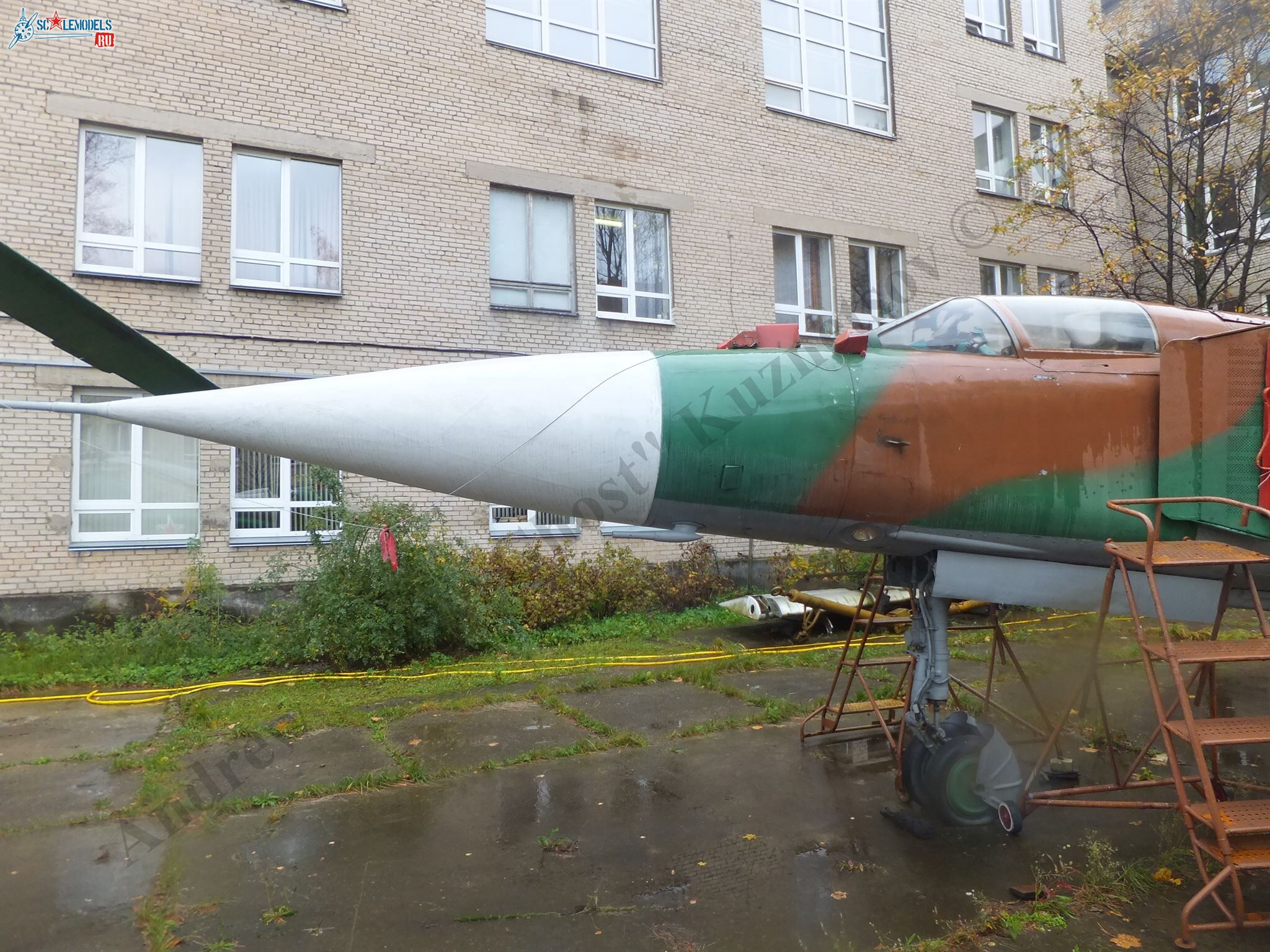 DSCF1729.JPG