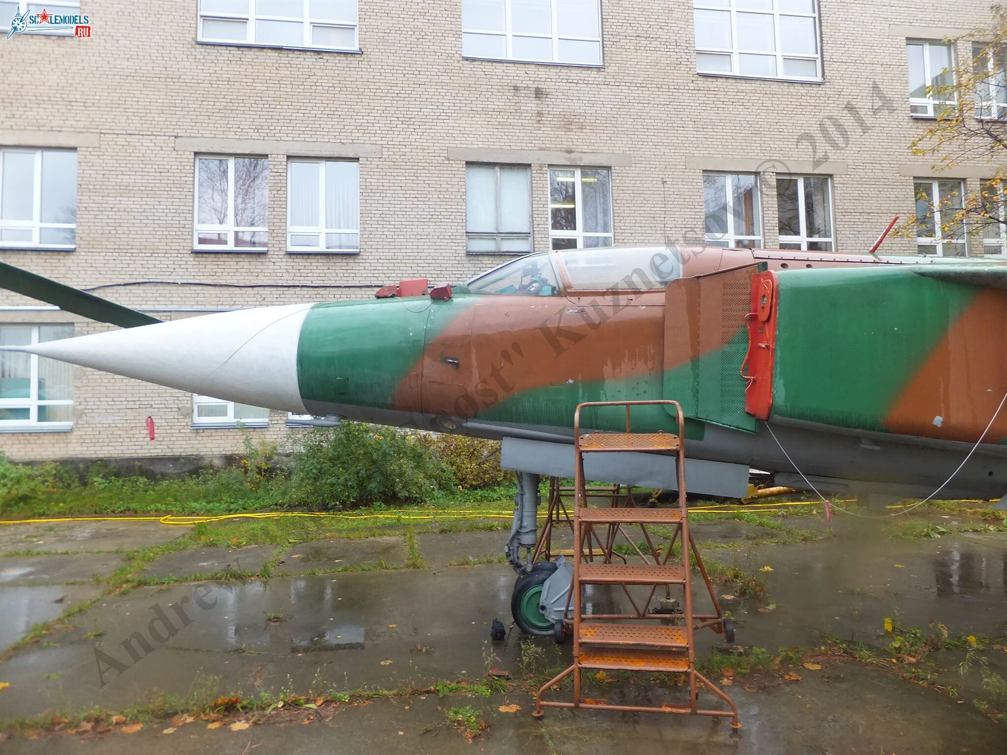 DSCF1730.JPG