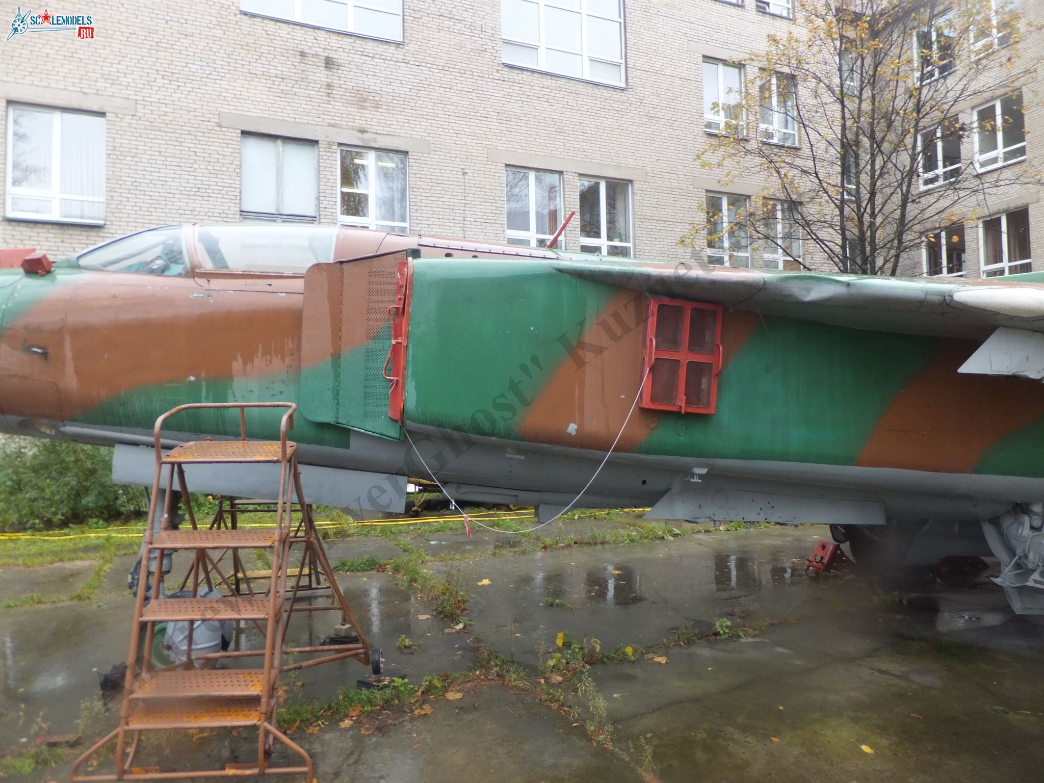 DSCF1731.JPG