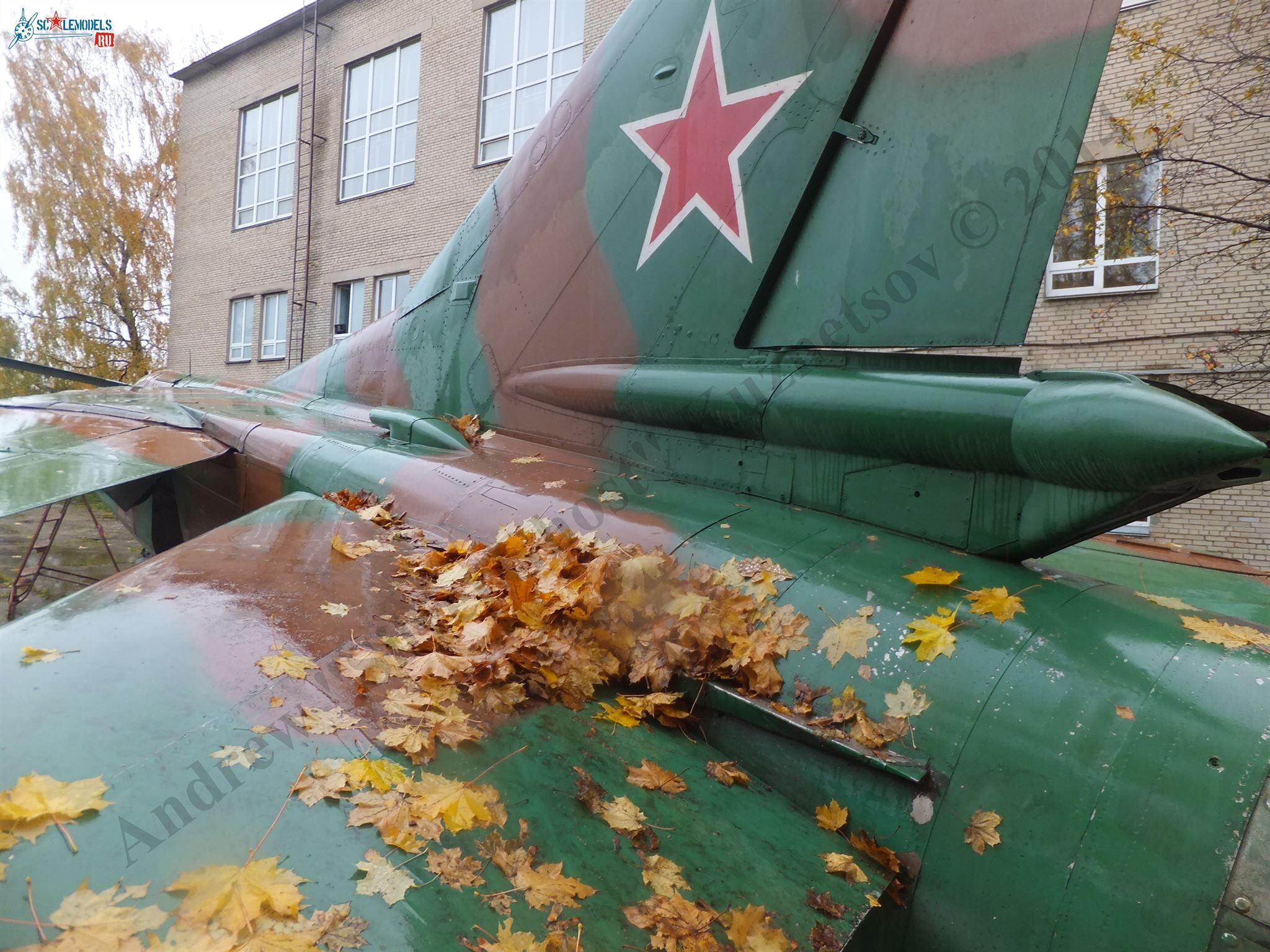 DSCF1745.JPG