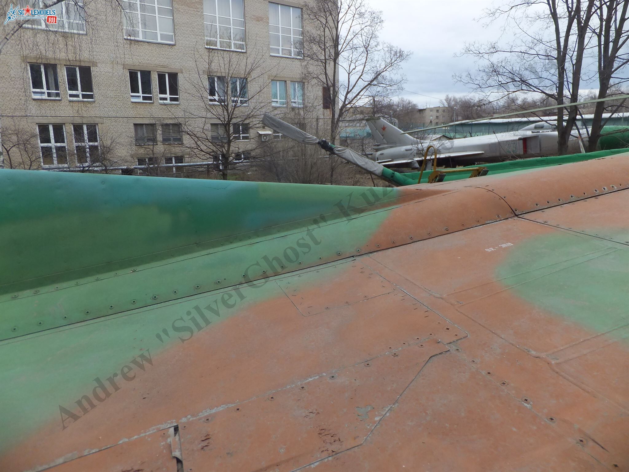 DSCF2118.JPG
