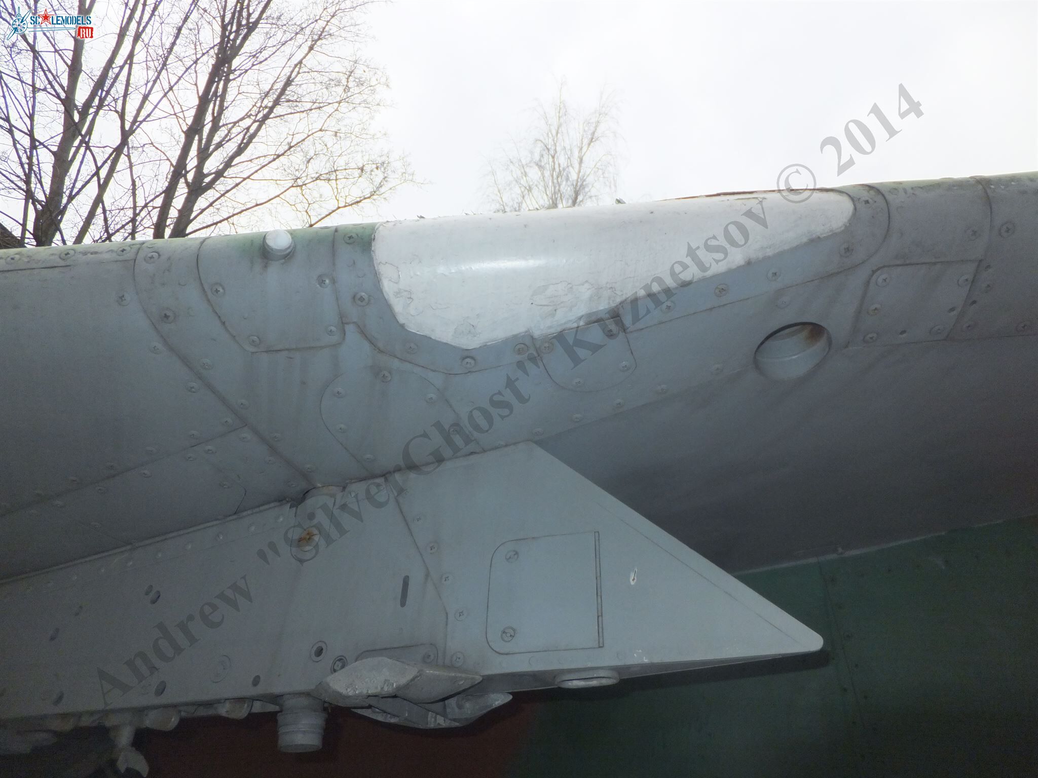 DSCF2261.JPG