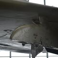 DSC_0421.JPG