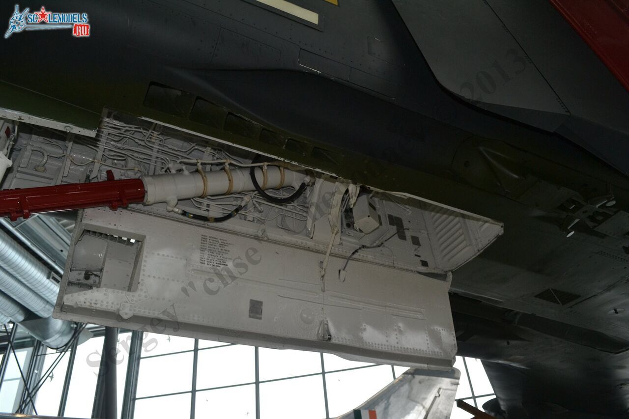 DSC_0443.JPG